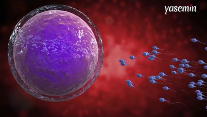 Tüp bebek tedavisi ile ilgili merak edilenler! Neden ihtiyaç duyuyoruz?