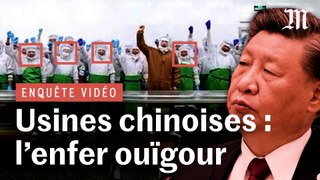 Enquêtes vidéo | Le Monde