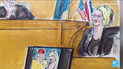 Procès de Donald Trump : l'actrice X Stormy Daniels a témoigné