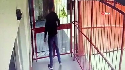 Eyüpsultan’da okul müdürünü vuran öğrencinin ifadesi ortaya çıktı