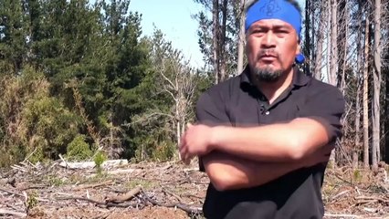 La Justicia chilena condena a 23 años de cárcel a Héctor Llaitul