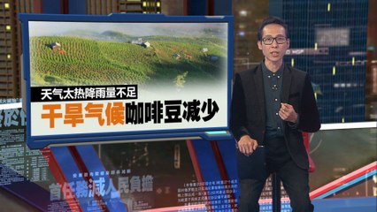 罗布斯塔咖啡豆价格飙升至45年新高 ☕️