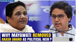 Mayawati Drops Hammer: Akash Anand Stripped Of BSP Succession, Uttar Pradesh Reacts