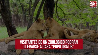 Visitantes de un zoológico podrán llevarse a casa “popó gratis