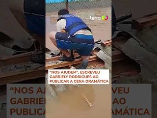 Homem quebra telhado de casa para resgatar cachorro ilhado em enchente no RS #shorts