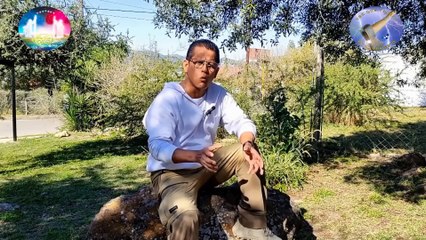 El Poder de la Luz Contra el jinete amarillo de Apocalipsis. Parte 2.