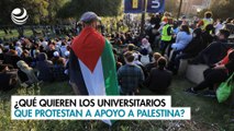 ¿Qué quieren los universitarios que protestan a apoyo a Palestina?