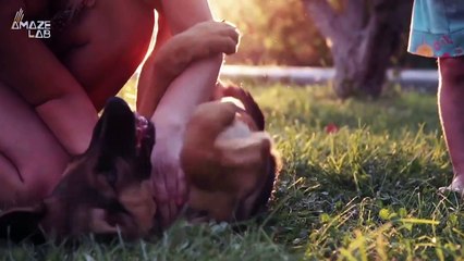 Dogs Do This One Thing That Makes Them Very Similar To Humans