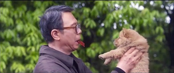 Hachiko: Una historia verdadera -  Tráiler latino