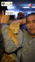 Conoce a Sony, el gatito que vive en una cárcel