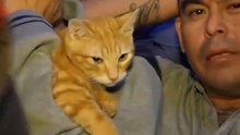 Conoce a Sony, el gatito que vive en una cárcel