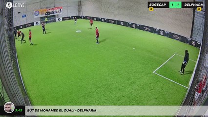 But de Mohamed EL OUALI - DELPHARM