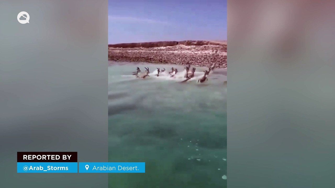 Temporary rivers and lakes appear in the middle of the Arabian desert