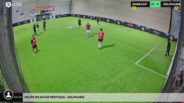 Faute de DAVID PERTHUIS - DELPHARM