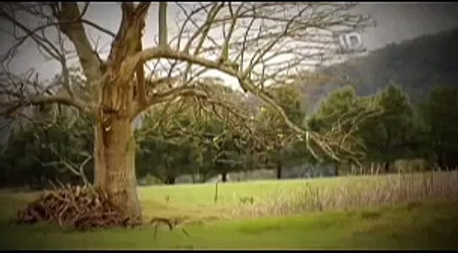 AS VERDADEIRAS MULHERES ASSASSINAS- UNIÃO DE MORTE #ID #INVESTIGAÇÃO #DISCOVERY #BLACKLIST