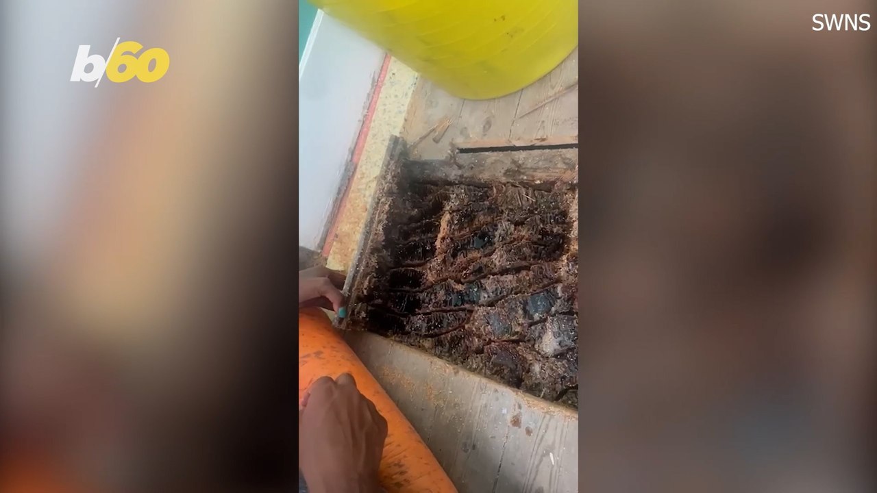 Honey Dripping Down Walls? Homeowners Are Investigating This Strange Incident