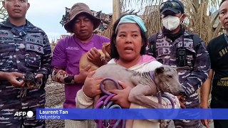 Voluntários indonésios resgatam cães dos escombros de erupção vulcânica