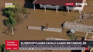 Captan el momento cuando un caballo queda atrapado en el techo de una casa en Brasil