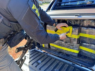 PRF apreende mais de meia tonelada de maconha no norte do PR; vídeo