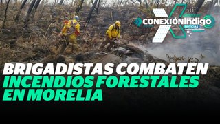 ¿Cómo siguen los incendios en Morelia? | Reporte Indigo