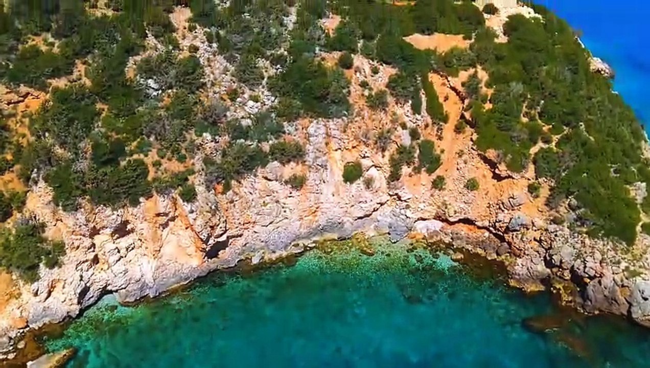 ALGHEROCORALLO