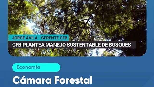 Cámara Forestal plantea manejo sustentable de bosques