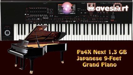 Pa4X Next 1,3Gb Japanese 9-feet Grand Piano