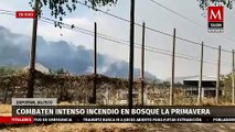 Distintos grupos de rescate combaten un incendio forestal en Jalisco