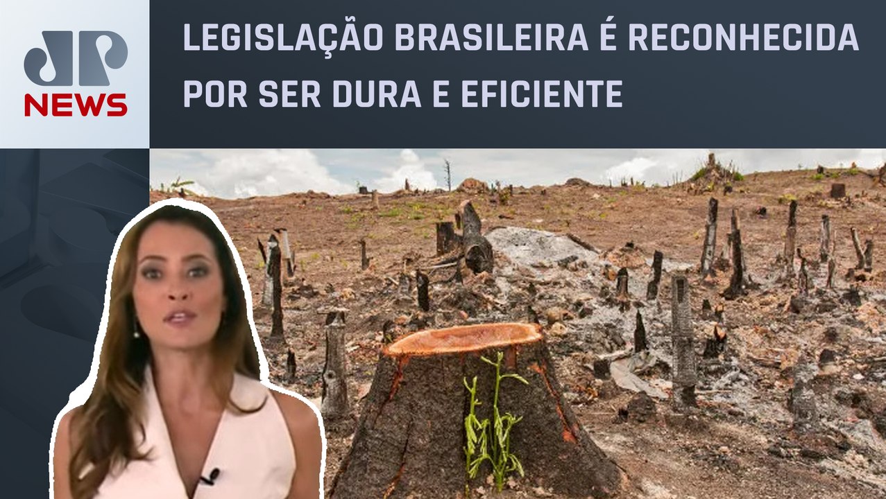 Patrícia Costa analisa como equilíbrio ambiental ajuda a evitar crise climáticas