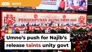 Umno tainting unity govt with push for Najib’s release, says analyst