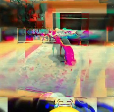 Dogs Funny Videos #dog #funny #pets #memes #animals #dogshorts #fun #shortvideo #shorts