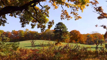 Âm nhạc thư giãn trị liệu với cảnh đẹp nhân gianv - Thiên đường nơi Thảo Nguyên