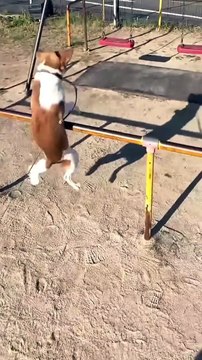 The End of fails #fails #funnyvideos