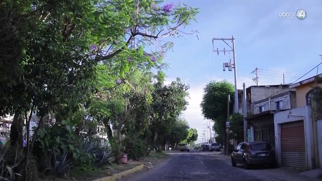 Cerca de 300 mil habitantes de seis municipios, los afectados por el apagón del martes