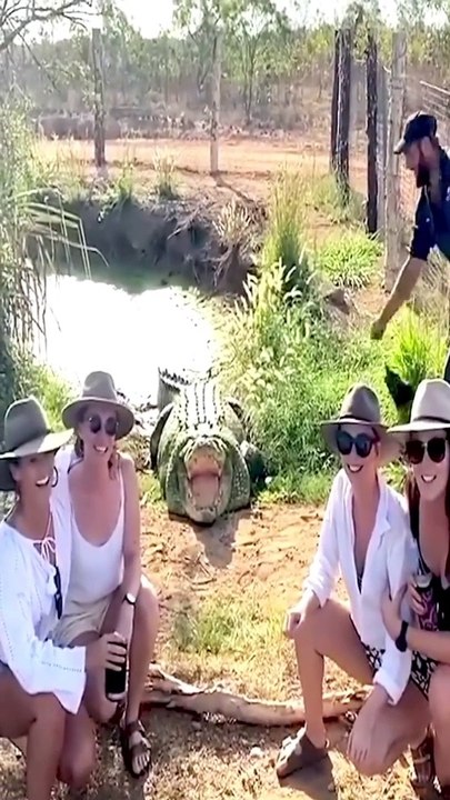 The End of fails  #fails #funnyvideos