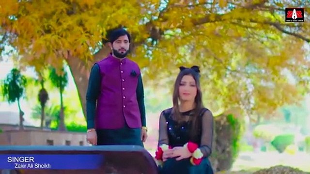 Dil Tenu Dy Chadyae - Zakir Ali Sheikh New Saraiki Punjabi Official Video Song 2024 - Eid Gift