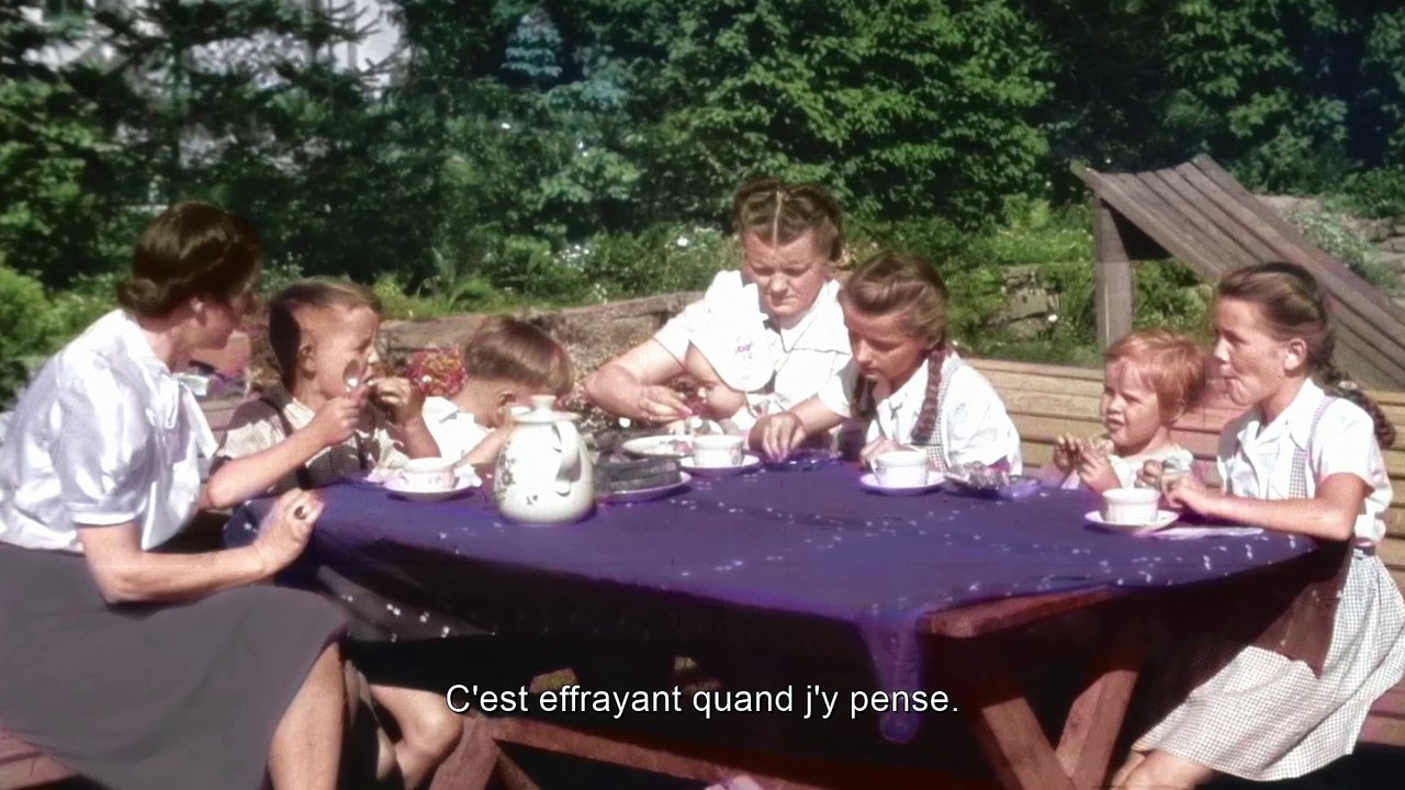 L’Ombre Du Commandant Film