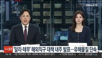 '알리·테무' 해외직구 대책 내주 발표…유해물질 단속