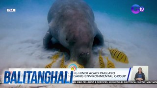 Napadpad na dugong, nilaro ng mga bata? | BT
