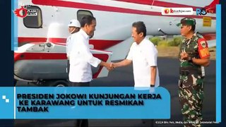 Presiden Jokowi Resmikan Modeling Kawasan Tambak Ikan Nila Salin di BLUPPB Kabupaten Karawang