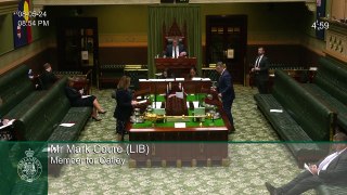 Anna Watson reads Helena Fox statement in parliament | May 9, 2024 | Illawarra Mercury