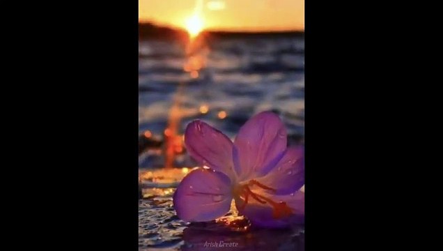 Feeling Love Status _ Lofi Love Status _ Whatsapp Status Video _ Aesthetic Status Video new _