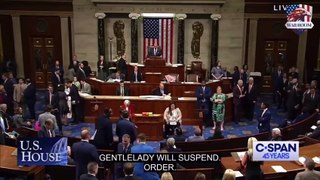 Marjorie Taylor Greene's Attempt to Oust Speaker Mike Johnson Causes Chaos in the House