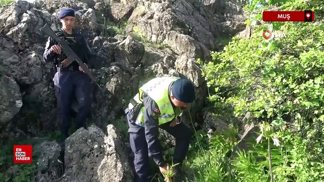 Terörden temizlenen dağlarda ters lale nöbeti