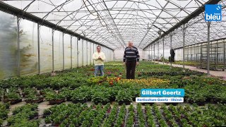 1/5 : présentation de l'horticulture Goertz à Illkirch-Graffenstaden