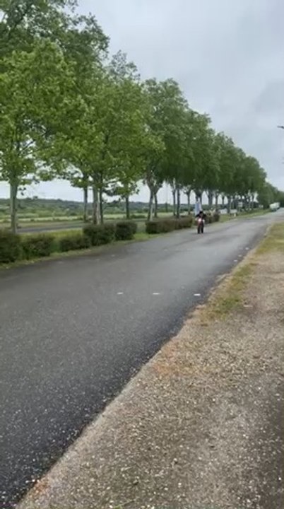 Rieju mrt 2022