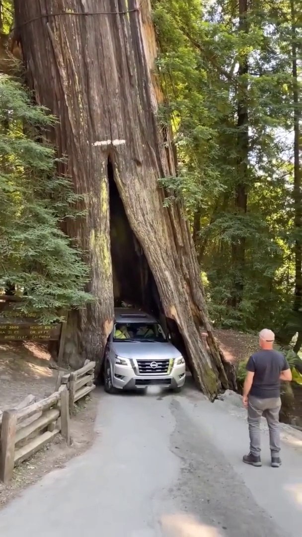 ⁣Agresivo coche  #tiktok #funny #fypシ #usa #foryou #trend #trending #tanger #new #news #nature (1)