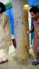 20240509_134905852.mp4_play_US