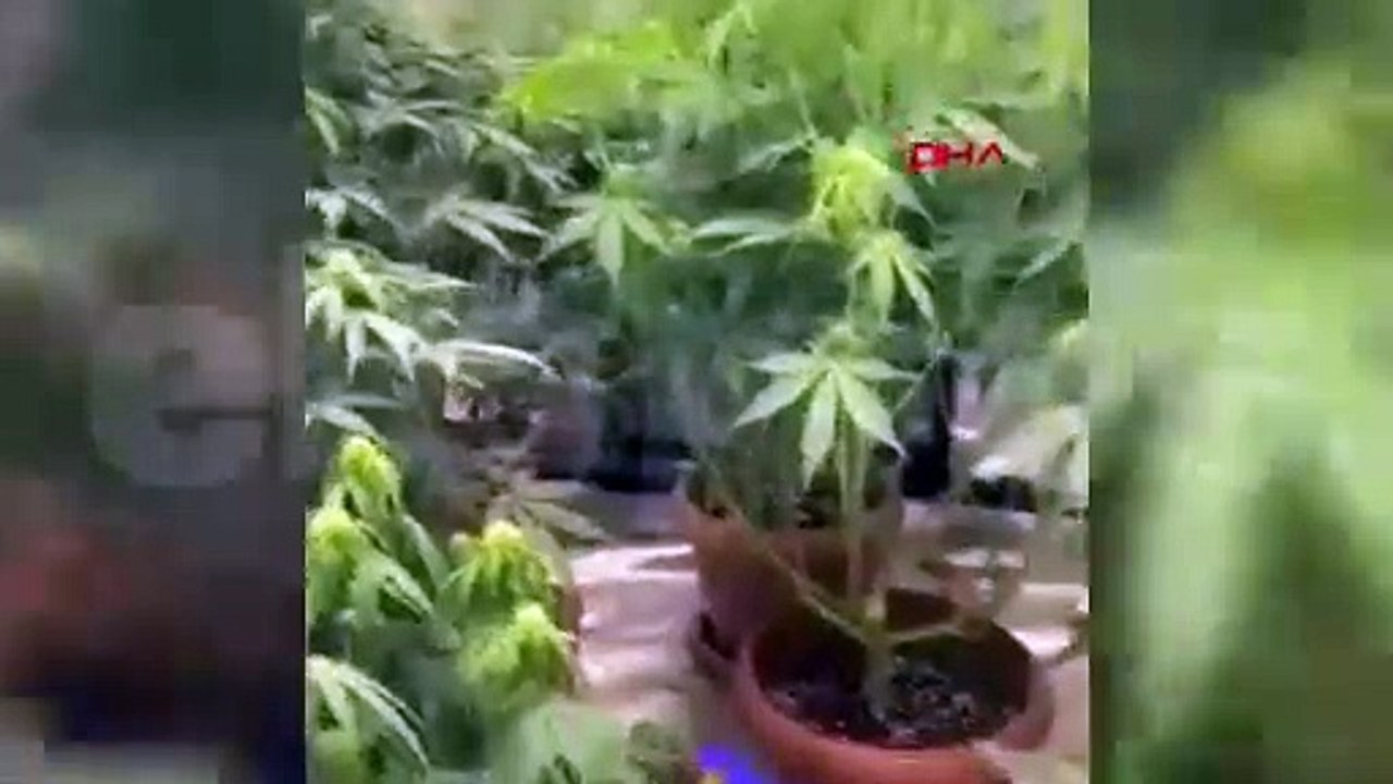 Zehir tacirinin akılalmaz sistemi çökertildi!