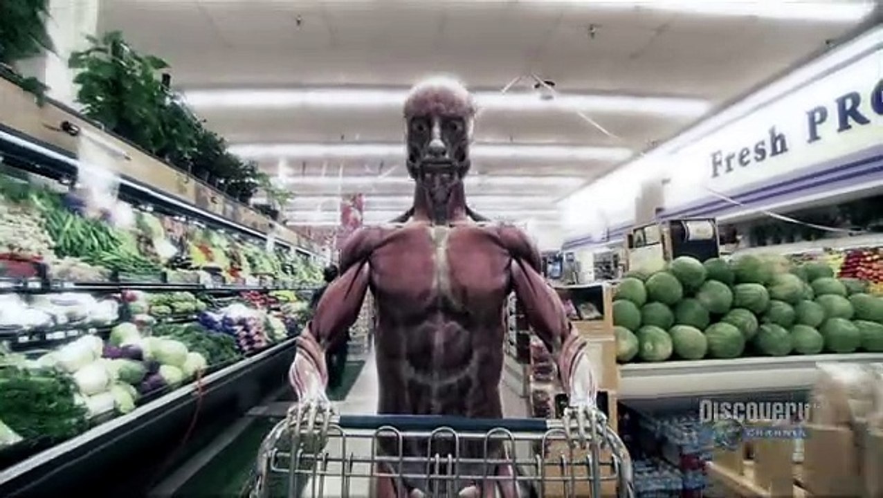 Human Body Pushing the Limits Episode 4: Brain Power